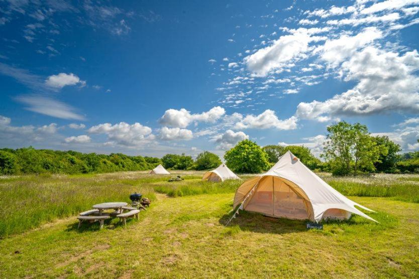 Red Clover At Blanca'S Bell Tents Villa Ringstead  Kültér fotó