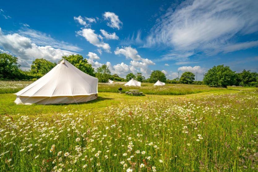 Red Clover At Blanca'S Bell Tents Villa Ringstead  Kültér fotó