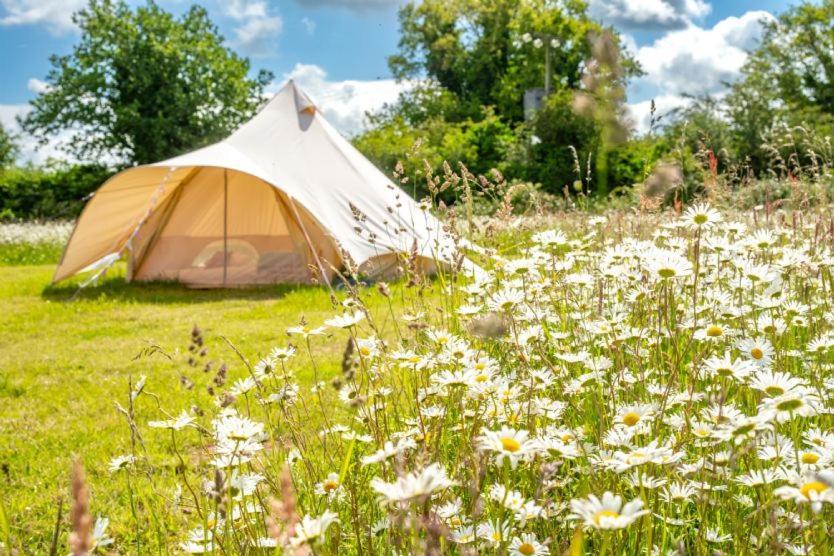 Red Clover At Blanca'S Bell Tents Villa Ringstead  Kültér fotó