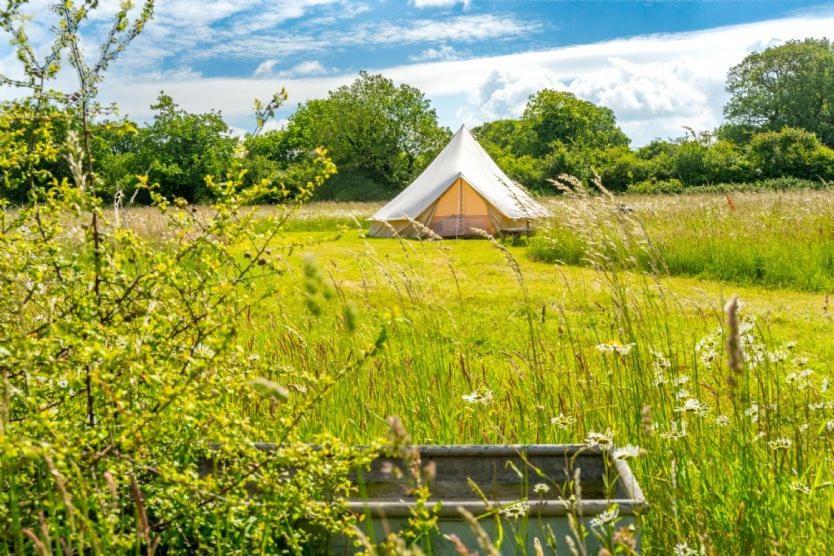 Red Clover At Blanca'S Bell Tents Villa Ringstead  Kültér fotó