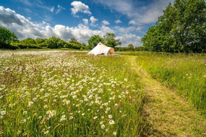 Red Clover At Blanca'S Bell Tents Villa Ringstead  Kültér fotó